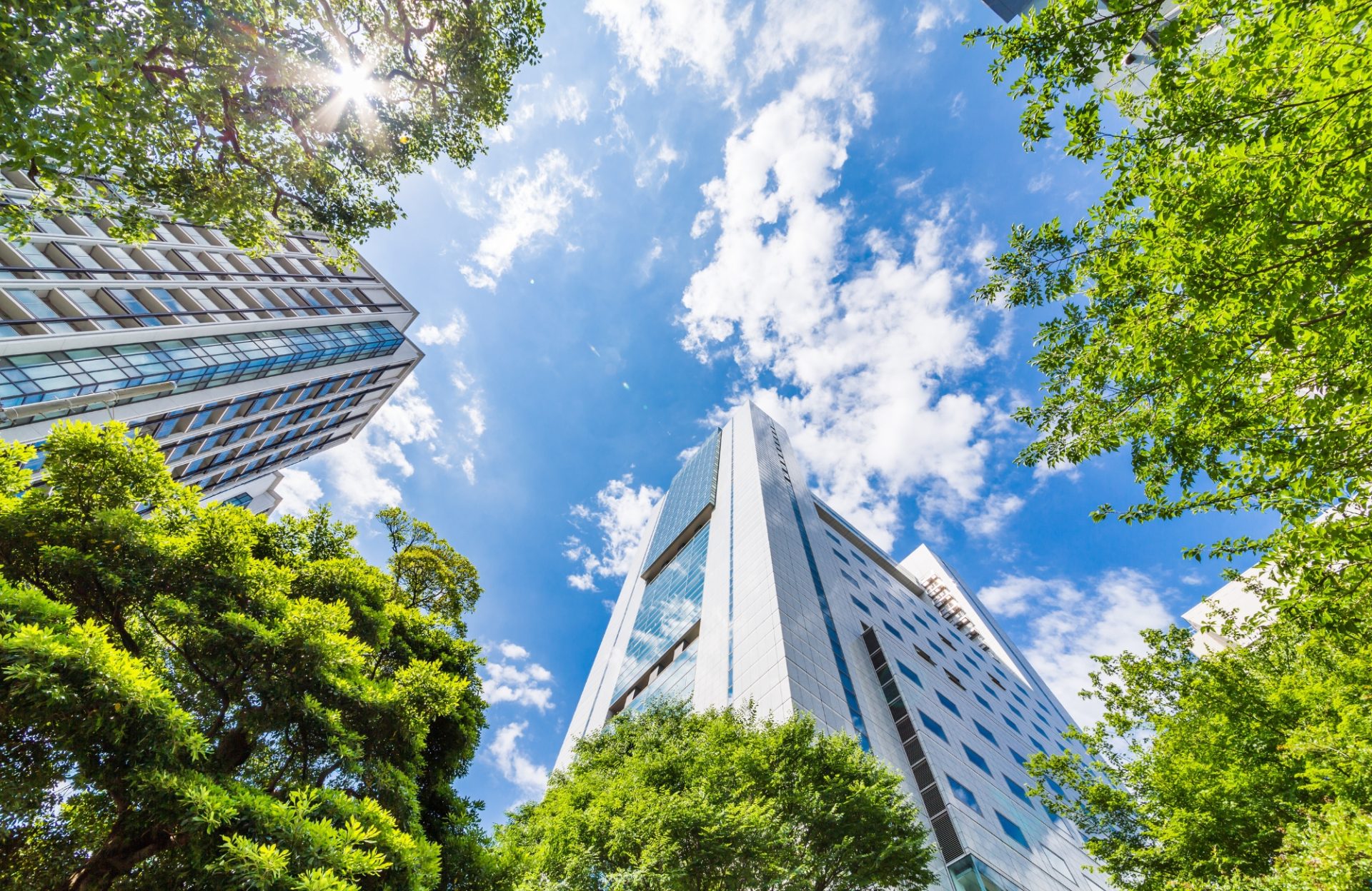 Summer Checklist for Commercial Buildings: Your BAS Readiness Guide